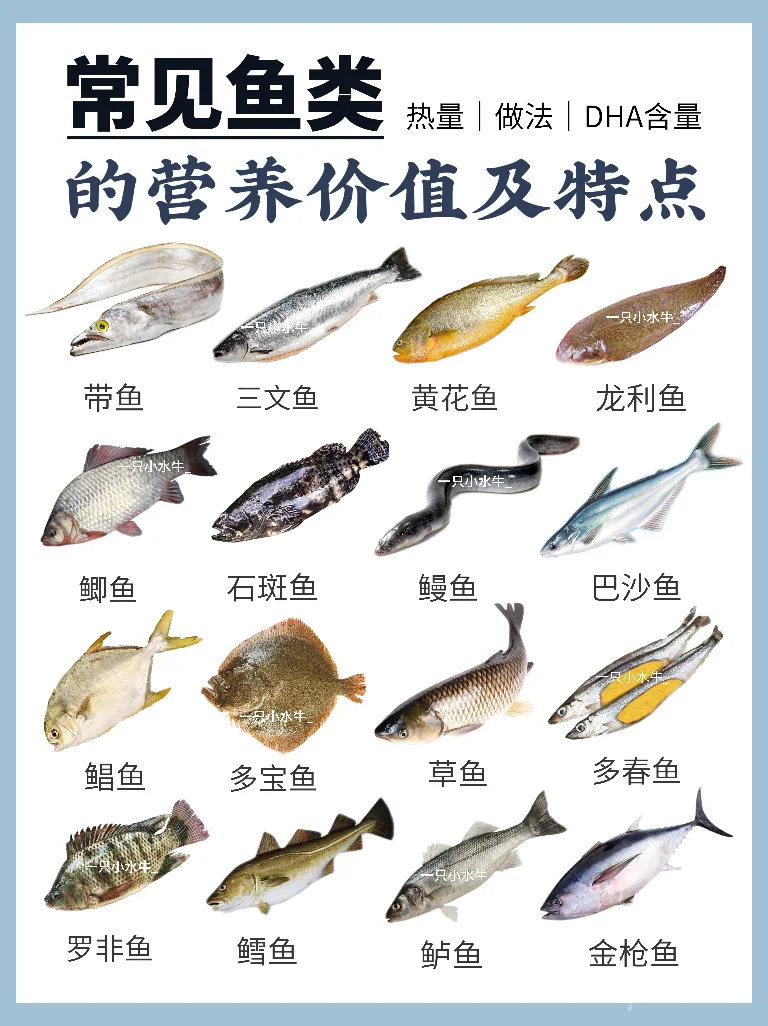 意大利面与豆类的营养补充指南